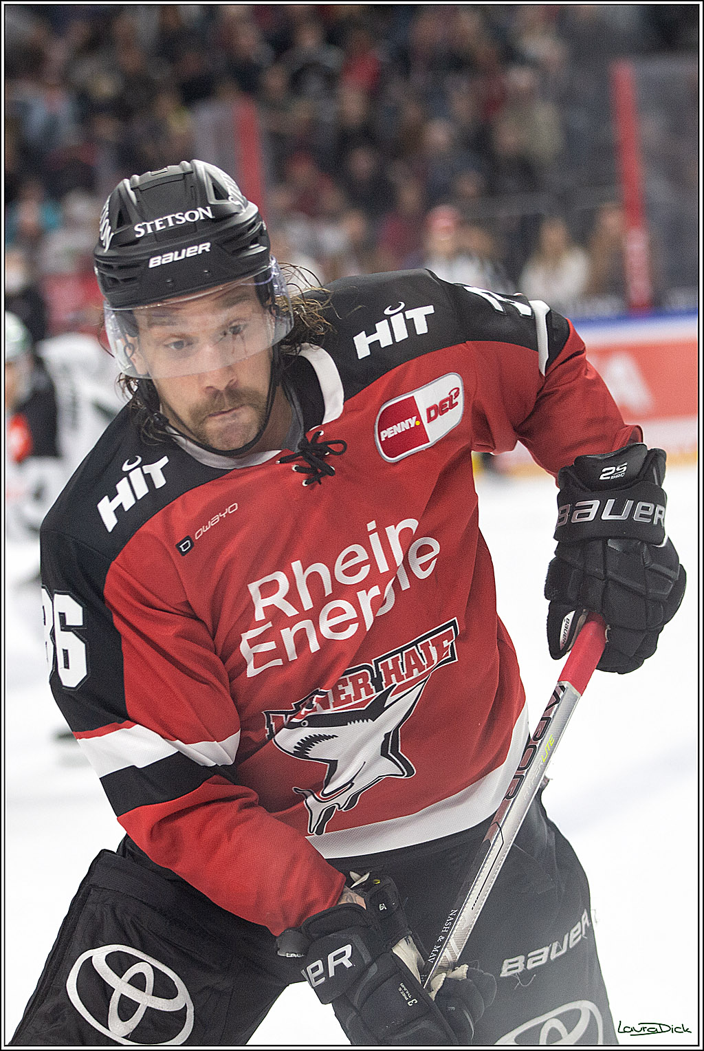 PENNY DEL;  Koelner Haie - Krefeld Pinguins; Koeln, 31.10.2021